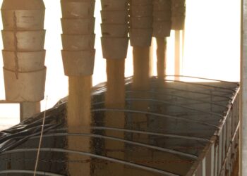 Leandro Mariani Mittmann