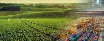 O que se espera do agro!