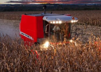 OS RUMOS DO CEREAL EM 2022