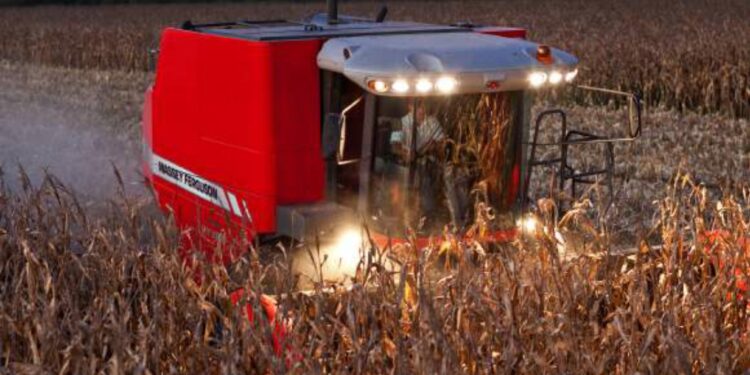 OS RUMOS DO CEREAL EM 2022