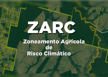 Informações para o Zarc