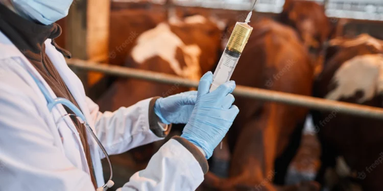 O CARRAPATO DESENVOLVE RESISTÊNCIA CONTRA VACINAS?