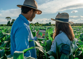 UM OLHAR MAIS ABRANGENTE SOBRE A PRODUÇÃO AGRÍCOLA