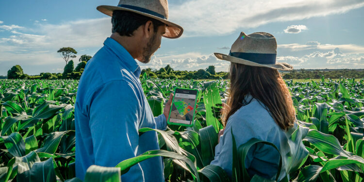 UM OLHAR MAIS ABRANGENTE SOBRE A PRODUÇÃO AGRÍCOLA