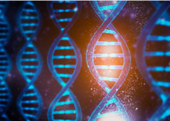 Genética e ambiente: a chave e a fechadura