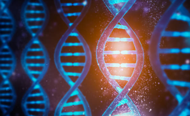 Genética e ambiente: a chave e a fechadura