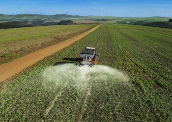 Mais que correção de solo, uma prática bem feita