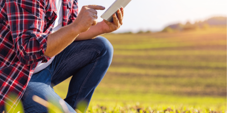 Algoritmos de Regressão