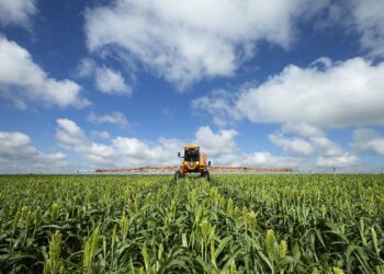 Qual a previsão do tempo para a safra de verão 2022/23 nas principais regiões agrícolas? Afinal, a probabilidade é de 90% para a La Niña até dezembro e de 54% entre janeiro e março