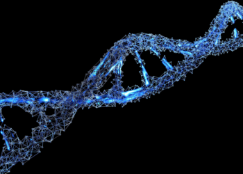 ExpoGenética movimenta mais de R$63 milhões