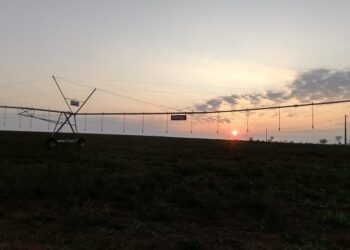 Vai investir na irrigação? Saiba o que considerar