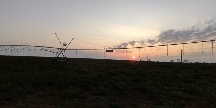 Vai investir na irrigação? Saiba o que considerar