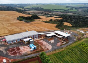 Novos frigoríficos impulsionam ovinocultura no Paraná