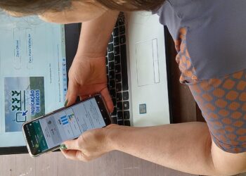 A escolha da semente baseada no ciclo 