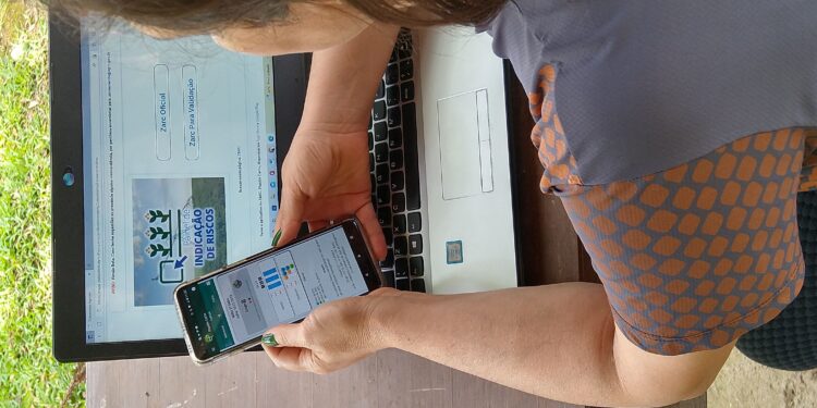 A escolha da semente baseada no ciclo 