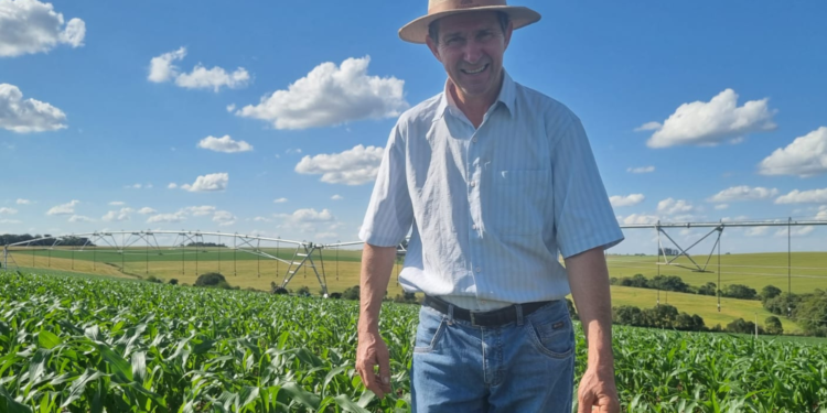 Rei do milho: 302 sacas por hectare