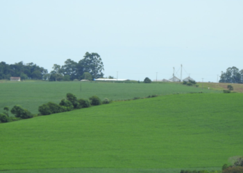 Rastreabilidade da soja. Yes, nós temos