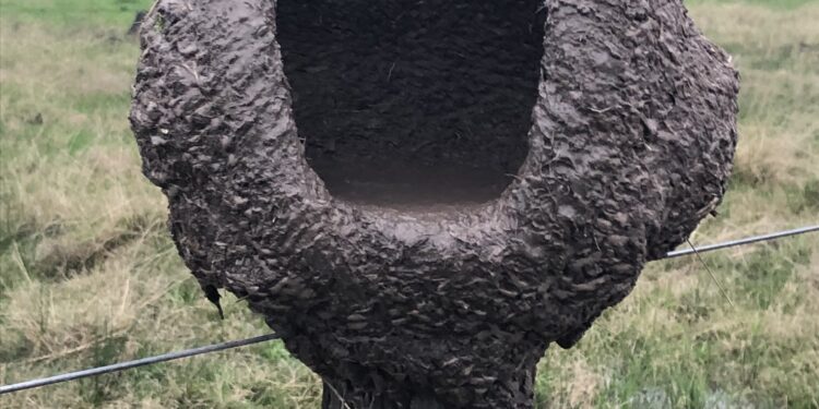 Tecnologias emergentes voltam-se à sustentabilidade