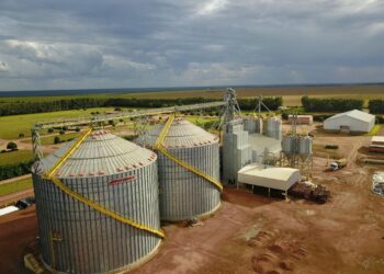 Independência do produtor depende de cuidados e monitoramento