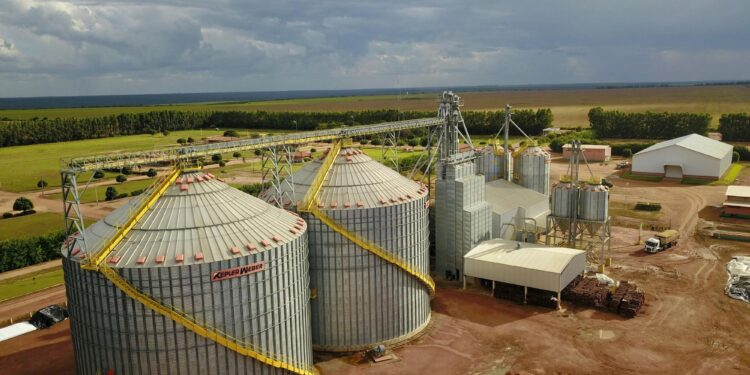 Independência do produtor depende de cuidados e monitoramento