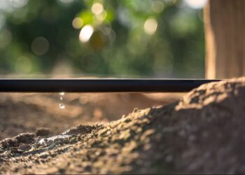 A tecnologia do gotejamento subterrâneo em grãos