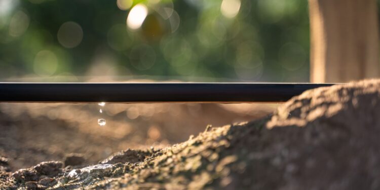 A tecnologia do gotejamento subterrâneo em grãos