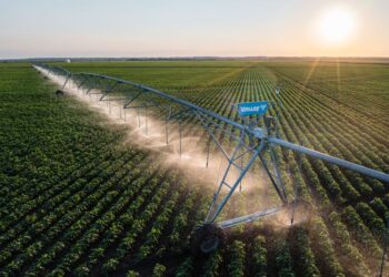 Irrigação é aumento da produtividade aliado à redução de custos