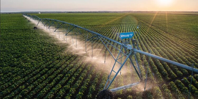 Irrigação é aumento da produtividade aliado à redução de custos