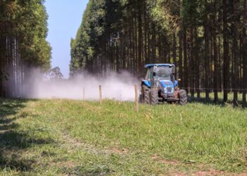 Segurança alimentar e descarbonização serão alcançadas com solos saudáveis