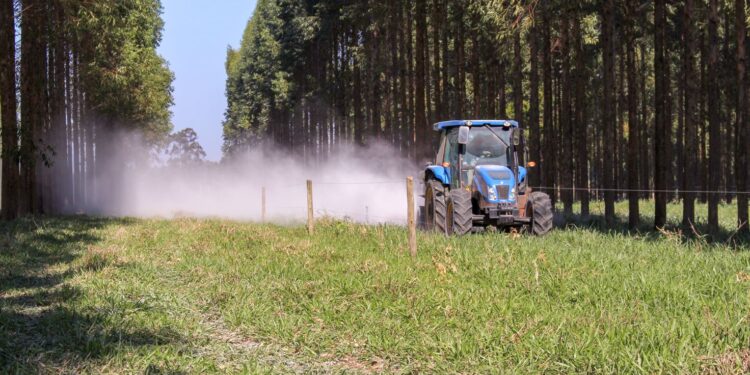 Segurança alimentar e descarbonização serão alcançadas com solos saudáveis