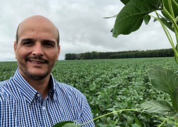 Abrass: pelas causas do setor de sementes de soja