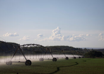 O verde da irrigação faz bem aos olhos de todos