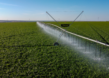 Um seguro contra as mudanças climáticas