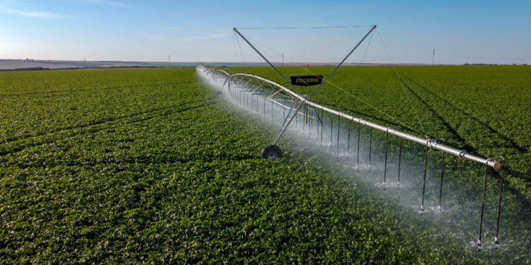 Um seguro contra as mudanças climáticas