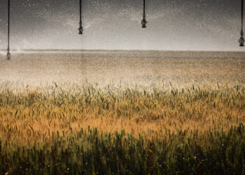 Irrigação de precisão: mais produtividade e economia