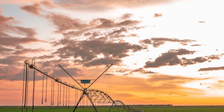 A bênção dos pivôs nos trigais do Cerrado