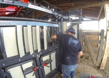 Tratamento do estresse oxidativo