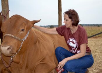 A sanitarista que venceu no Senepol
