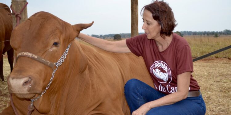 A sanitarista que venceu no Senepol