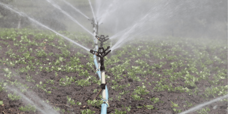 Irrigação luminosa na agricultura