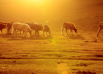 O apagão de mão de obra vem aí!