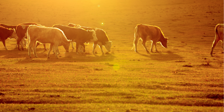 O apagão de mão de obra vem aí!