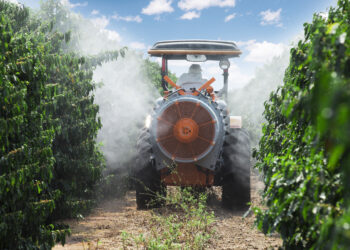 Capacitação digital