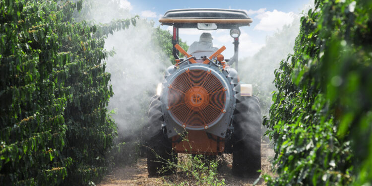 Capacitação digital