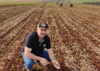 Preocupação com a natureza rende bons frutos