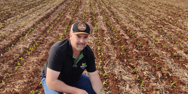 Preocupação com a natureza rende bons frutos