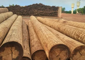 Lei da ação e da reação