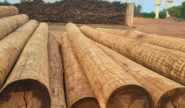 Lei da ação e da reação