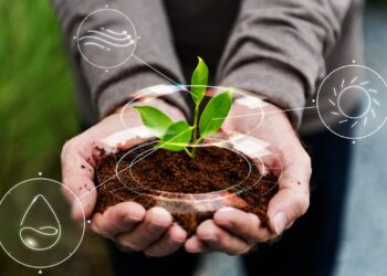 Estado da arte da produção sustentável