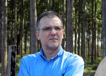 Oportunidades de ouro, ou melhor,“de carbono”